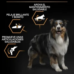 Pro Plan Medium Adult Frango ração para cães