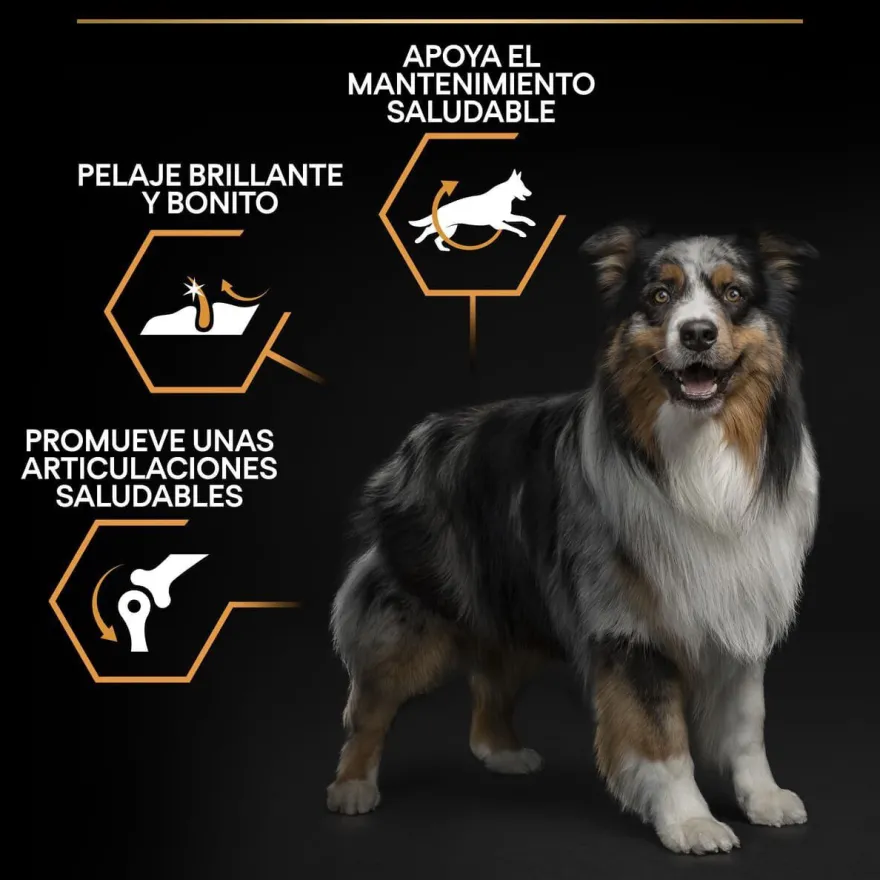 Pro Plan Medium Adult Frango ração para cães