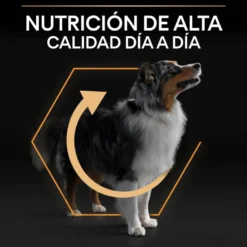 Pro Plan Medium Adult Frango ração para cães