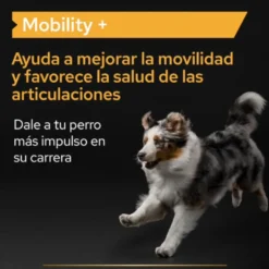 Pro Plan Mobility+ Suplemento para cães