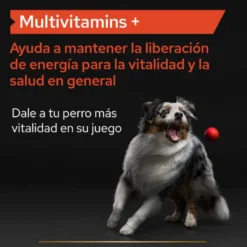 Pro Plan Multivitamin Suplemento para cães