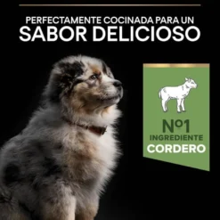 Pro Plan OptiDigest Puppy Medium ração