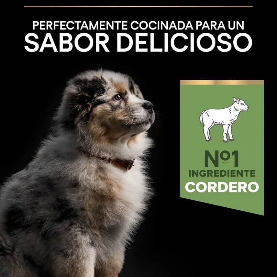 Pro Plan OptiDigest Puppy Medium ração