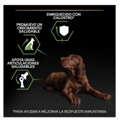 Pro Plan Puppy Large Athletic Frango ração para cães