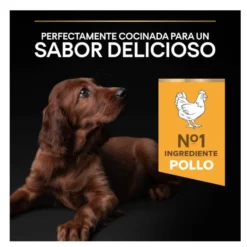 Pro Plan Puppy Large Athletic Frango ração para cães