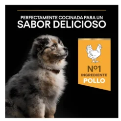 Pro Plan Puppy Medium Frango ração para cães
