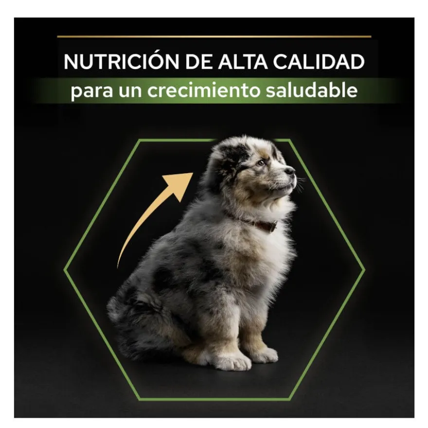 Pro Plan Puppy Medium Frango ração para cães
