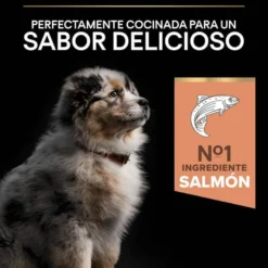 Pro Plan Puppy Medium Salmão Peles Sensíveis ração para cães