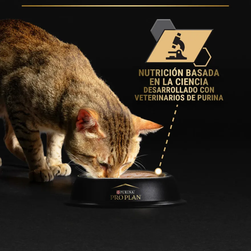 Pro Plan Senior Longevis Mousse de Atum em lata para gatos