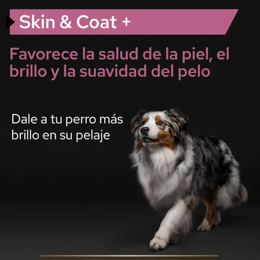 Pro Plan Skin & Coat Suplemento em Óleo para cães