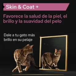 Pro Plan Skin & Coat + Suplemento Óleo de Salmão Norueguês para gatos