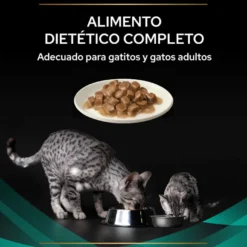 Pro Plan Veterinary Diets Feline Gastrointestinal Salmão em Molho saquetas para gatos - Multipack 10
