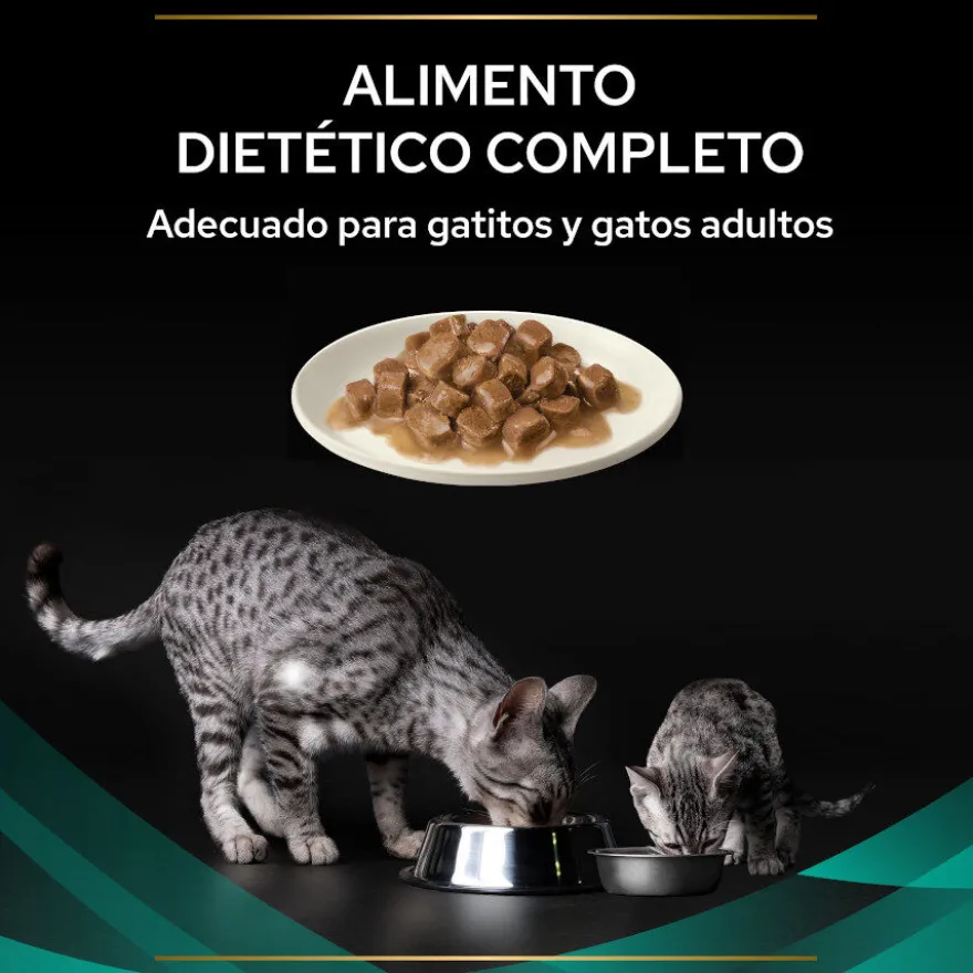 Pro Plan Veterinary Diets Feline Gastrointestinal Salmão em Molho saquetas para gatos - Multipack 10
