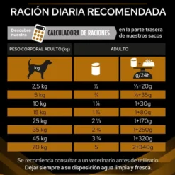 Pro Plan Veterinary Diets Renal latas para cães