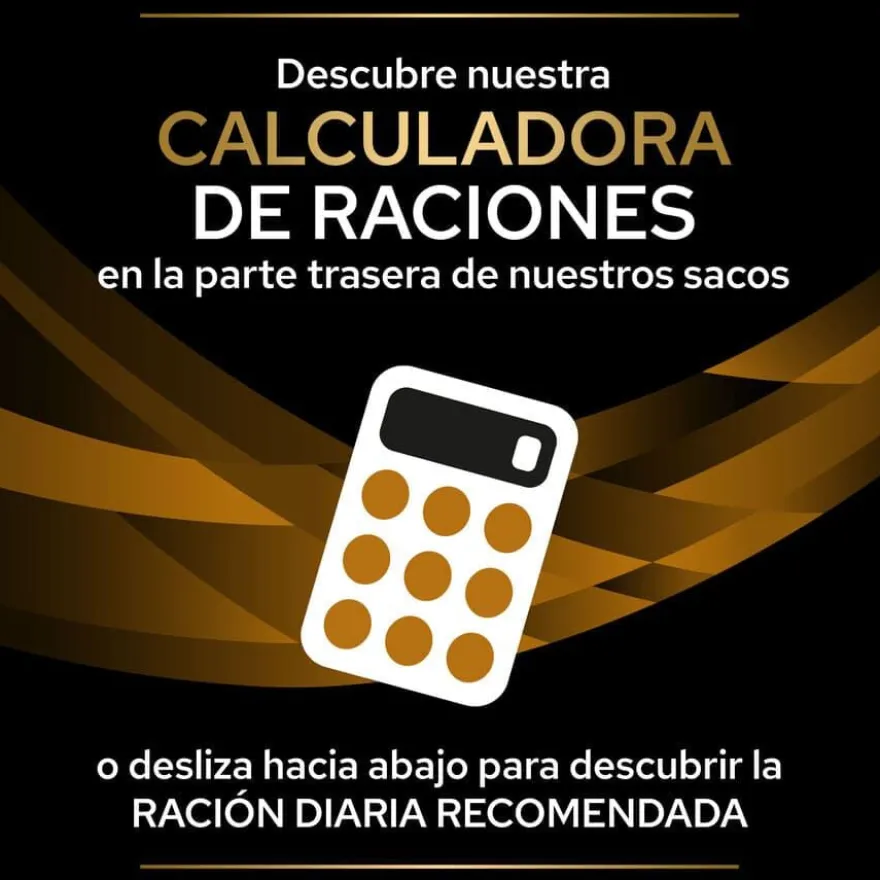 Pro Plan Veterinary Diets Renal latas para cães