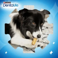 Purina Dentalife snack para cães muito pequenos