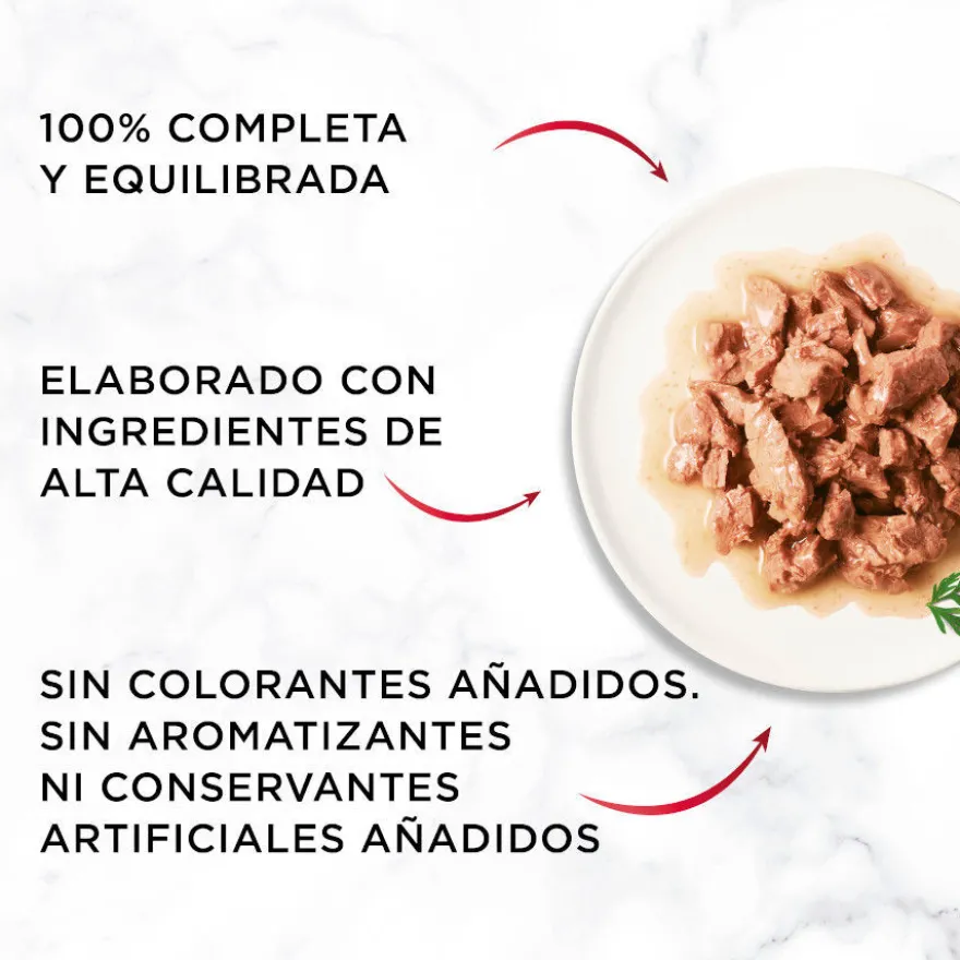 Purina Gourmet Mon Petit Seleção Peixes em molho para gatos