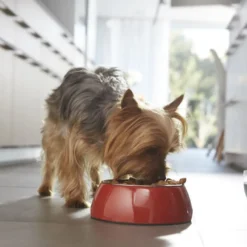 Purina One Adult Mini Bifensis Sensitive Salmão e Arroz ração para cães