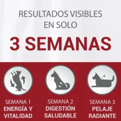Purina One Adult Mini Bifensis Sensitive Salmão e Arroz ração para cães