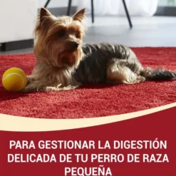 Purina One Adult Mini Bifensis Sensitive Salmão e Arroz ração para cães