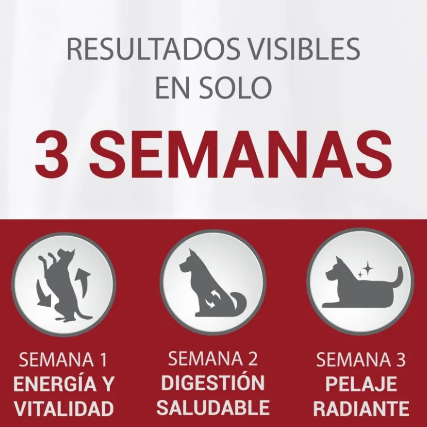 Purina One Adult Mini Weight Control Sterilised Peru e Arroz ração para cães