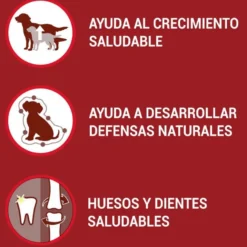 Purina One Junior Bifensis Frango ração para cães
