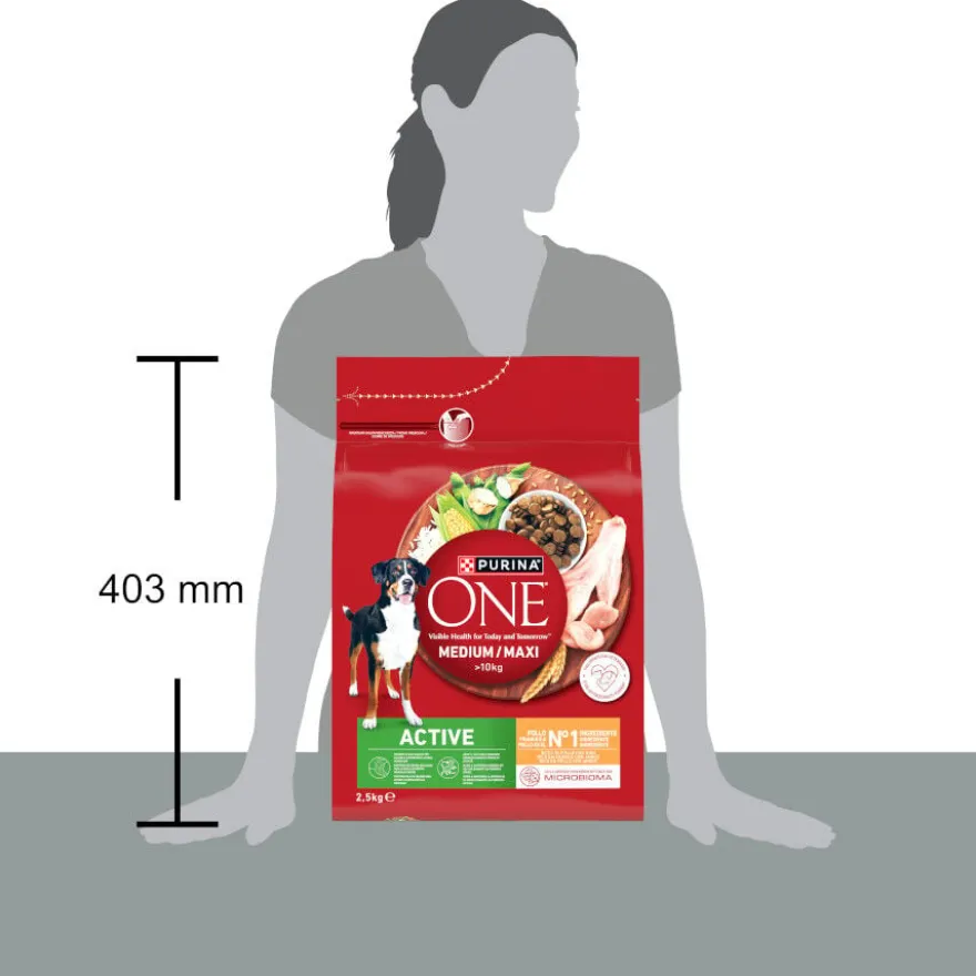 Purina ONE Medium/Maxi Adult Active Frango Ração para cães