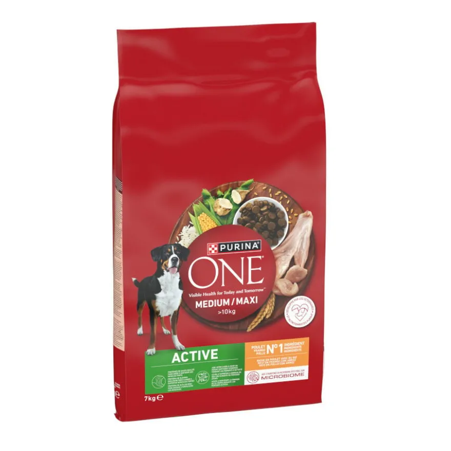 Purina ONE Medium/Maxi Adult Active Frango Ração para cães