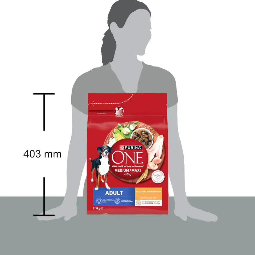 Purina ONE Medium/Maxi Adulto Frango Ração para cães