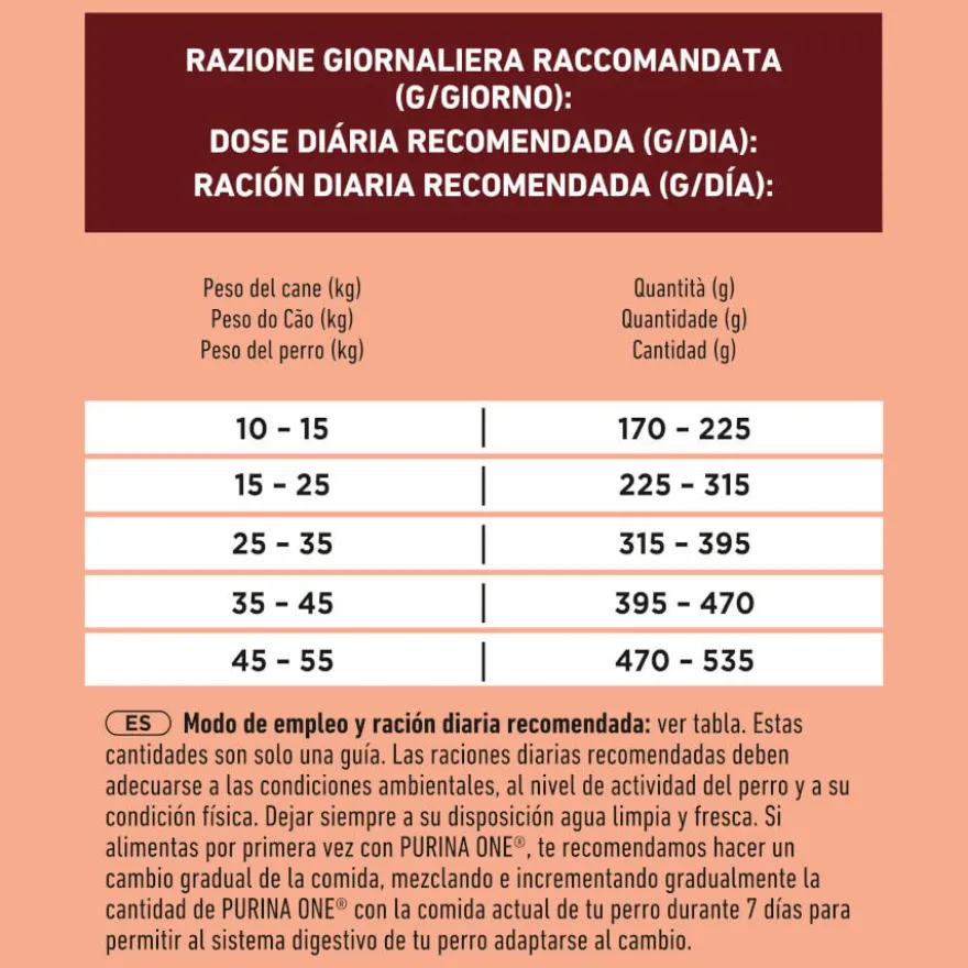 Purina ONE Medium/Maxi Adult Salmão Ração para cães
