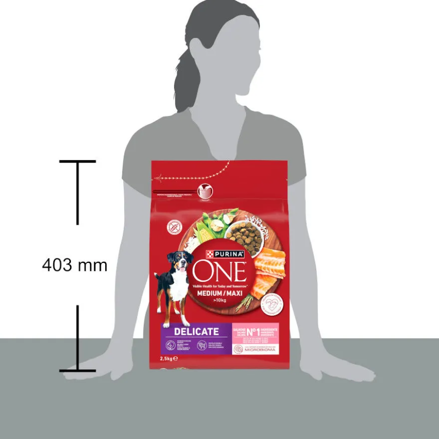 Purina ONE Medium/Maxi Adult Salmão Ração para cães