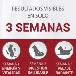 Purina One Senior 8+ Mini ração para cães