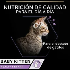 Purina Pro Plan Baby Kitten Mousse lata