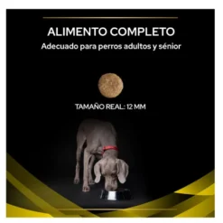 Purina Pro Plan Veterinary Diets NC Neurocare ração para cães