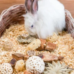 Quapas Nibble Caixa Presente Estrelas e Bolas Brinquedo para Roedores