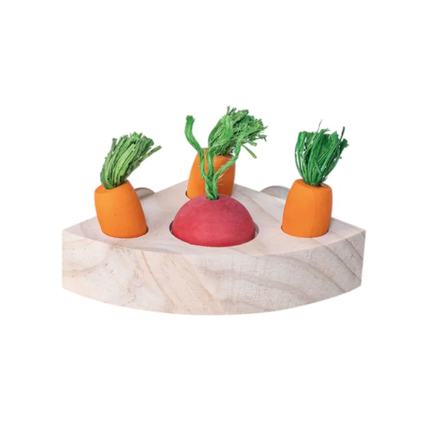 Quapas Quebra-cabeças Triangular Snacks Brinquedo para roedores
