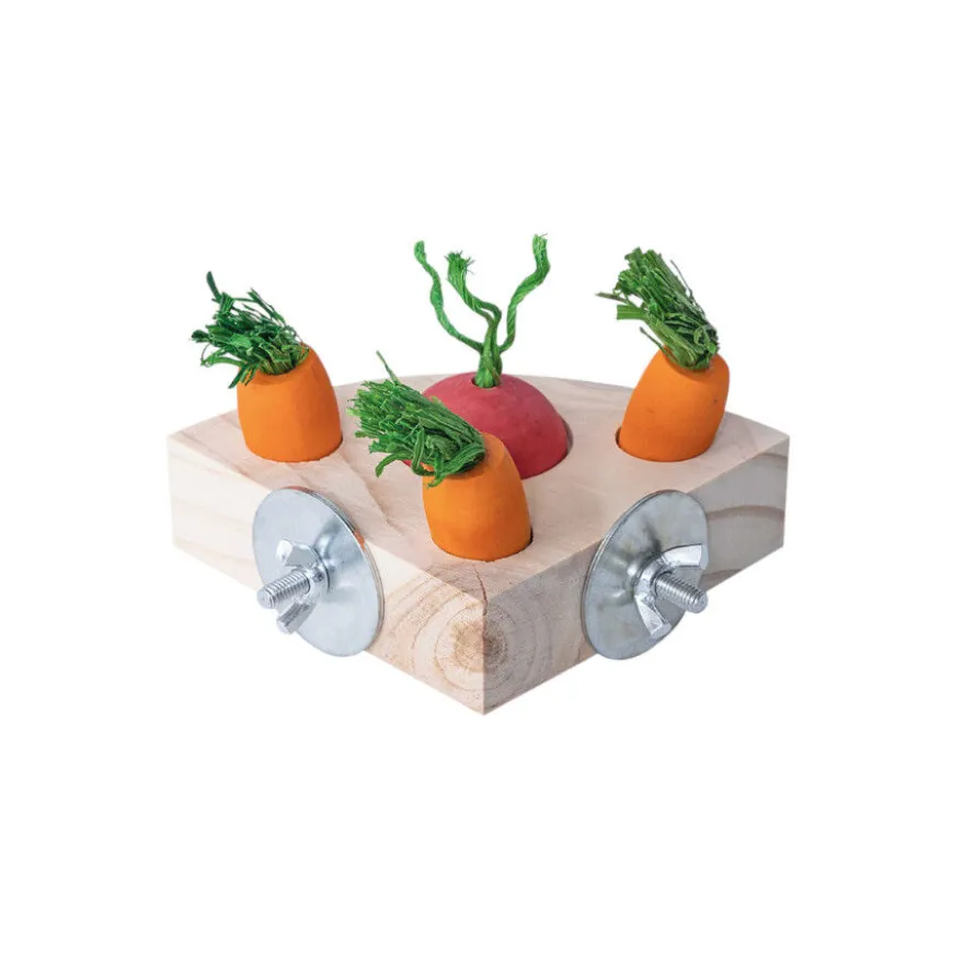 Quapas Quebra-cabeças Triangular Snacks Brinquedo para roedores