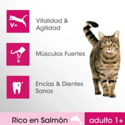Ração para gatos Perfect Fit Adulto 1+ Salmão Esterilizado