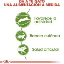 Royal Canin Active Life Outdoor Ração para gatos