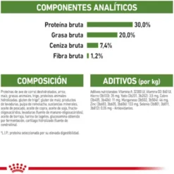 Royal Canin Active Life Outdoor Ração para gatos