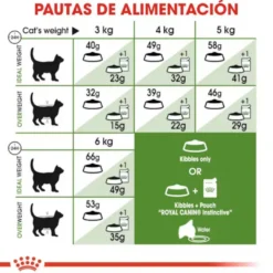 Royal Canin Active Life Outdoor Ração para gatos