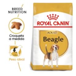 Royal Canin Adult Beagle ração para cães