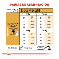 Royal Canin Adult Beagle ração para cães