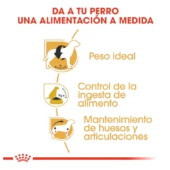 Royal Canin Adult Beagle ração para cães