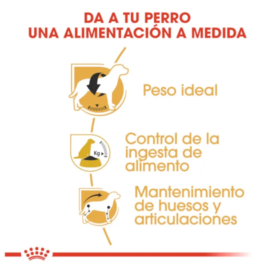 Royal Canin Adult Beagle ração para cães