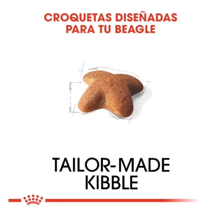 Royal Canin Adult Beagle ração para cães