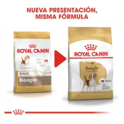 Royal Canin Adult Beagle ração para cães