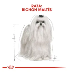 Royal Canin Adult Bichón Maltês ração para cães