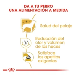 Royal Canin Adult Bichón Maltês ração para cães