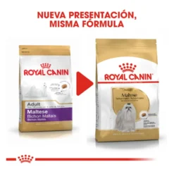 Royal Canin Adult Bichón Maltês ração para cães